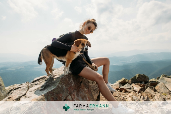 In montagna con i cani: come fare?