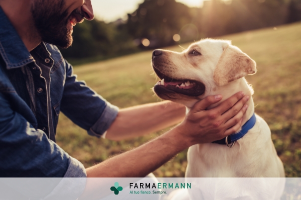 Parassiti per il cane: rimedi
