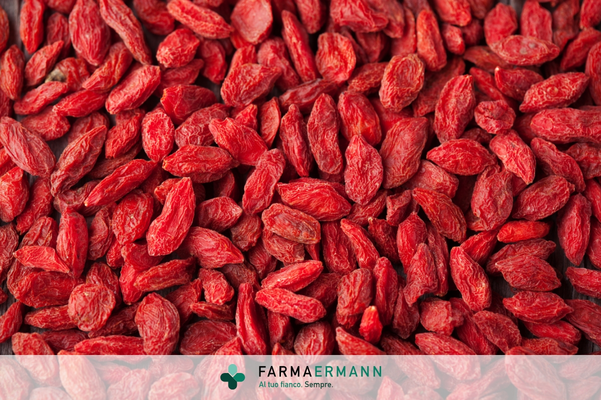 Quali sono i benefici delle bacche di Goji?