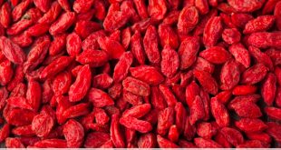 Quali sono i benefici delle bacche di Goji?