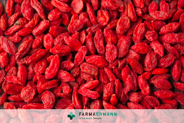 Quali sono i benefici delle bacche di Goji?