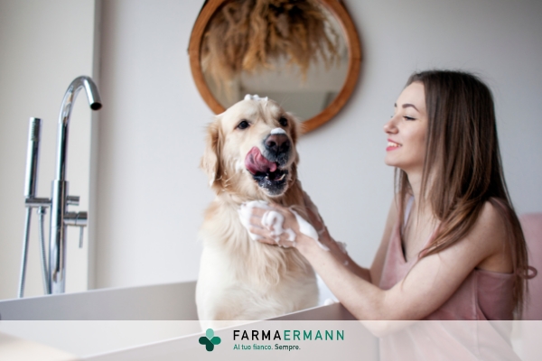 Come lavare un cane fai da te
