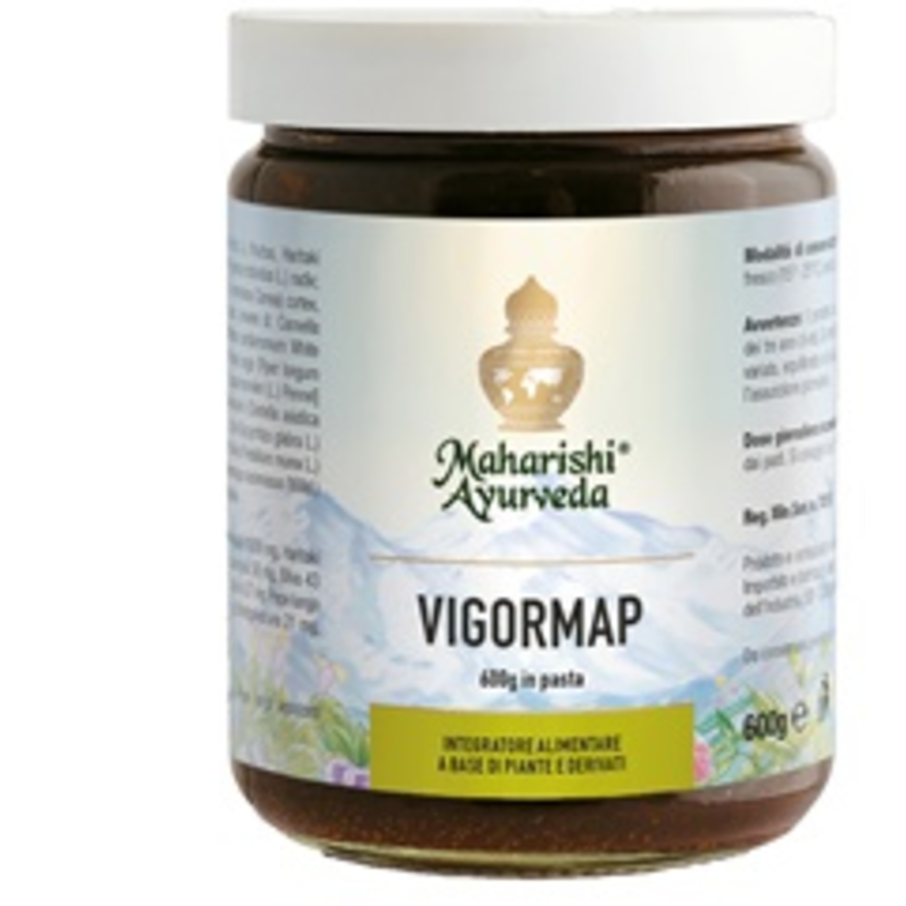 Vigormap pasta 600 g