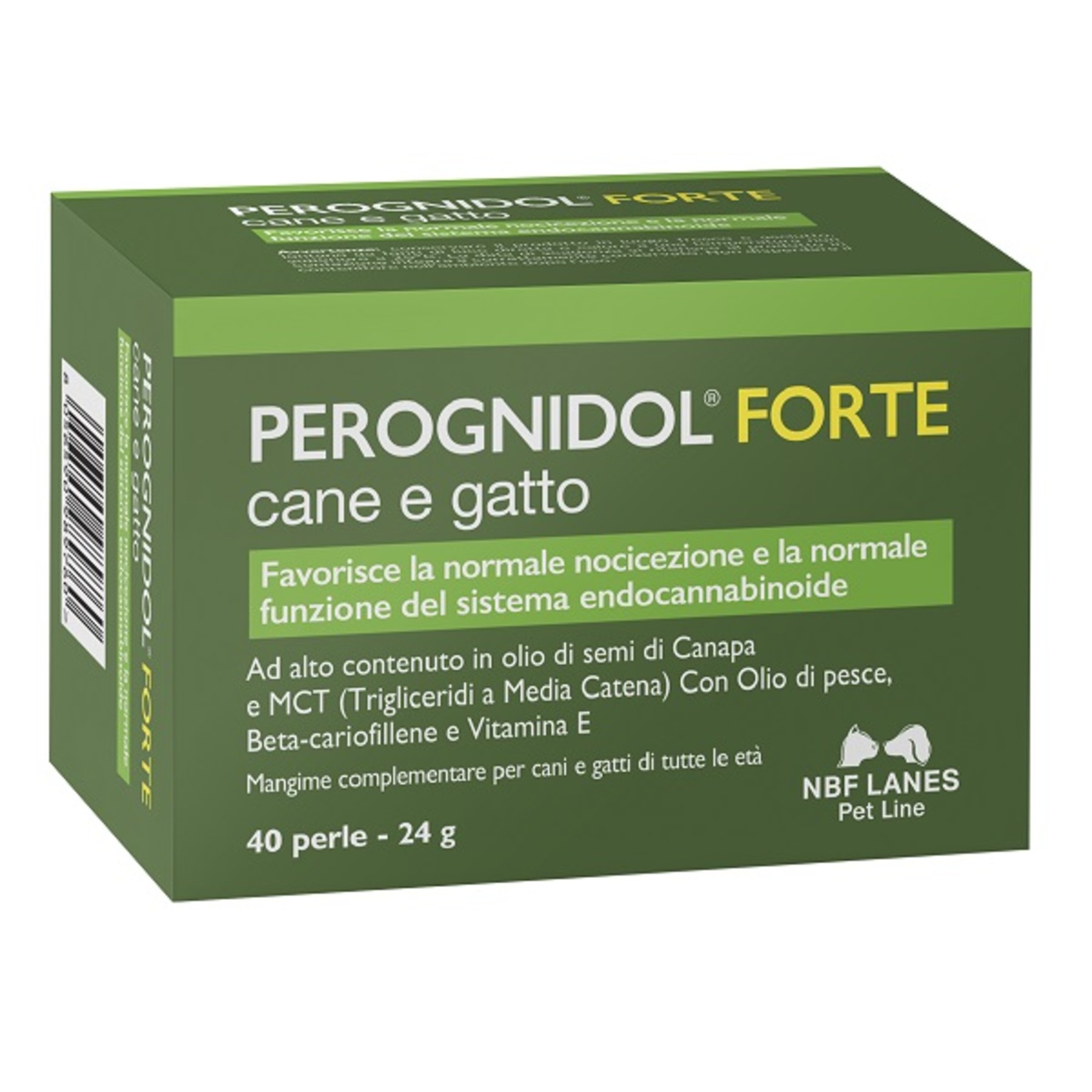 Perognidol forte perle img