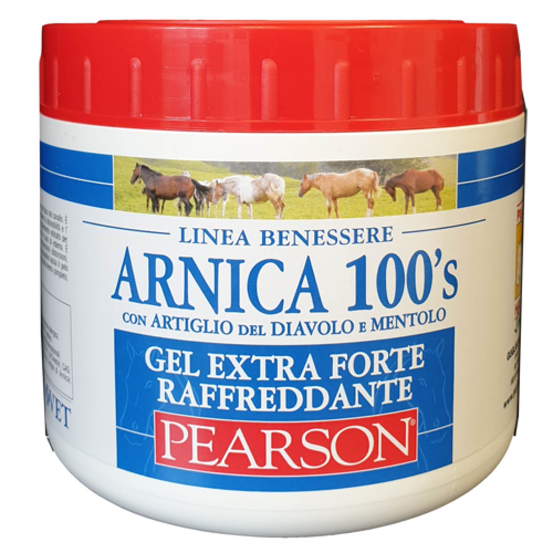 Arnica 100's gel extra forte raffreddante 500 ml img