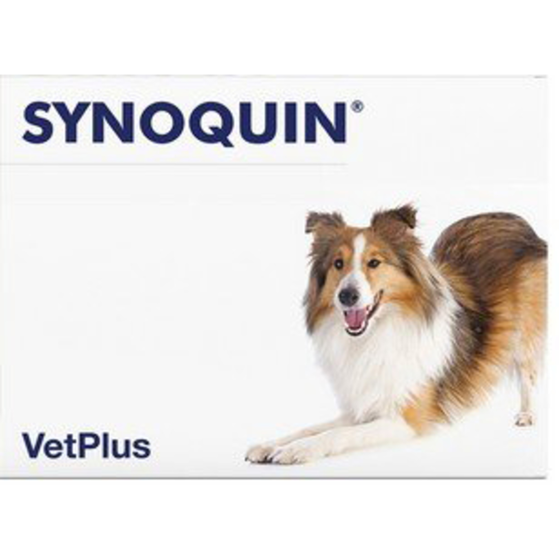 Synoquin efa large breed 30 compresse img