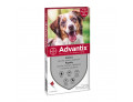 Advantix Spot on per Cani da 10 a 25kg (4 pipette)