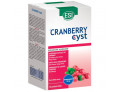 Cranberry Cyst Benessere benessere vie urinarie (16 pocket drink)