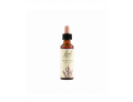 Fiori di Bach originali Heather gocce orali omeopatiche (20 ml)