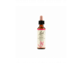 Fiori di Bach originali Sweet Chestnut orali omeopatiche (20 ml)