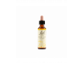 Fiori di Bach originali Wild Oat gocce orali omeopatiche (20 ml)