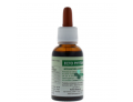 Phytum ecto gocce (30 ml)