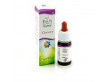 Chicory guna gocce 10 ml