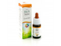 Gentian guna gocce 10 ml