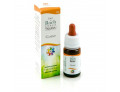 Gorse guna gocce 10 ml