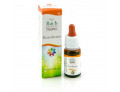 Hornbeam guna gocce 10 ml