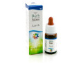 Larch guna gocce 10 ml
