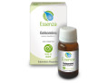 Gelsomino essenza 10 ml