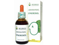 Epadrenol 50 ml