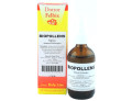 Biopollens spray 50 ml