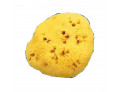 SPUGNA NAT FORI L 12/13CM 9