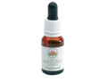 ANGELSWORD GOCCE 15ML