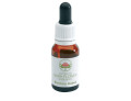 Banksia robur gocce 15 ml