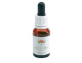 BLUEBELL GOCCE 15ML
