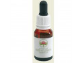 Peach flow tea tree austr (15 ml)