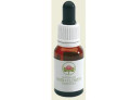 Red helmet orchid austr (15 ml)