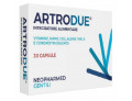 Artrodue 30 capsule 0,2 g