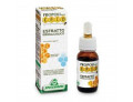 Epid estratto idroalcolico 30 ml