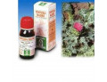 Cardo mariano 6 50ml tm