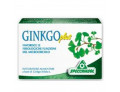 Ginkgo plus 30 capsule