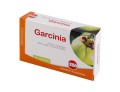 Garcinia estratto secco 60 compresse