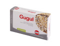 Gugul estratto secco 60 compresse