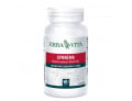 Gymnema sylvestre 60 capsule 350 mg