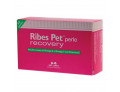 Ribes pet recovery blister 60 perle