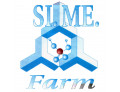 Ledum smf spray lozione 100 ml