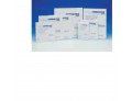 Cerotto farmactive hydro 10x10cm 10 pezzi