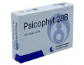 Psicophyt remedy 28b 4 tubi 1,2 g