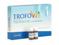 Trofovit 14 flaconcini 10 ml