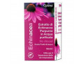 Echinacea estratto no alcool 50 ml