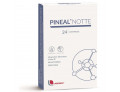 Pineal notte 24 compresse