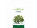 Argilla verde superventilate ui 300 g