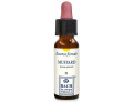 Mustard original gocce 10 ml