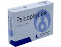 Psicophyt remedy 6a 4 tubi 1,2 g