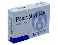Psicophyt remedy 14a 4 tubi 1,2 g