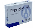 Psicophyt remedy 16a 4 tubi 1,2 g