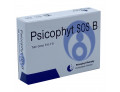 Psicophyt remedy 24 sos b 4 tubi 1,2 g